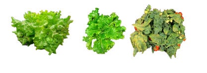 Image of three lettuces